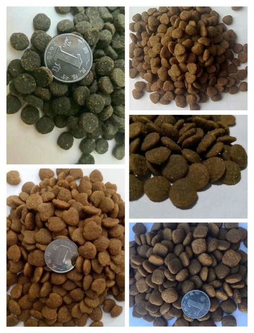 山東寵物用品產(chǎn)業(yè)大數(shù)據(jù)解析與采購(gòu)指南 聚焦異合日用百貨網(wǎng)