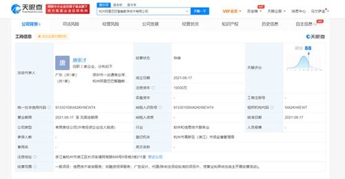 阿里斥資1億成立智融數字公司，拓展信息技術咨詢業務